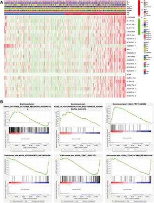 A Prognostic Signature for Clear Cell Renal Cell Carcinoma Based on Ferroptosis-Related lncRNAs and Immune Checkpoints